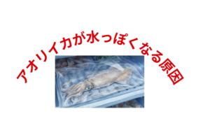 冷凍アオリイカが水っぽくなる原因は、 解凍が早すぎるだけ。釣太郎