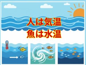 人間が気温の変化で服装を変えるように、魚も水温の変化で行動を変えます。魚は変温動物なので、人間以上に水温の変化に敏感。釣太郎