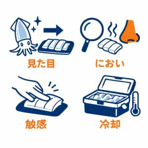 アオリイカを刺身で食べていいかどうかは、 ・見た目・におい・触感・内臓の状態・冷却履歴。これらを総合的に判断する必要があります。釣太郎