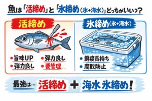 魚の締め方。味だけなら → 活締めが上。保存性だけなら→ 氷締めが上。総合最強→ 活締め＋海水氷。これが科学的最適解です。釣太郎