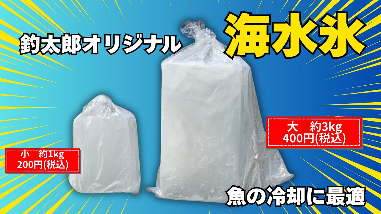 アオリイカの冷却は普通の氷（真水氷）より海水氷がいいと言われる理由。釣太郎