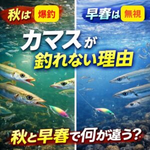 秋のカマスは「腹が減っている」。早春のカマスは「省エネモード」。同じ魚。でも別物。群れが見えても焦らない。動く瞬間を待つ。それが早春カマス攻略の鍵.釣太郎