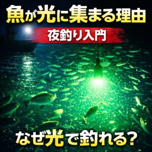 夜の魚が光に集まる理由。プランクトンが光に集まる。小魚が集まる 大型魚が来る。視界が良くなる。捕食しやすくなる。光は海の「エサの流れ」を作る装置。釣太郎