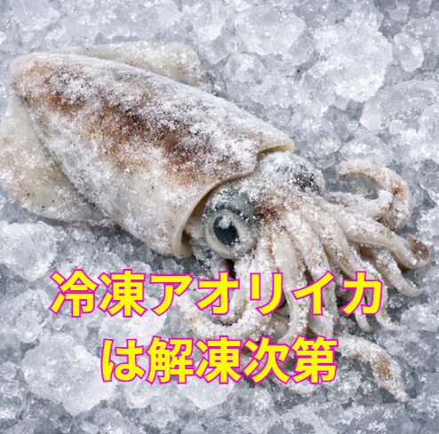 アオリイカの冷凍＝解凍は、釣り人の腕の見せ所。適切にできる人が少ないからこそ、正しくやれば周りが驚く美味しさに！釣太郎