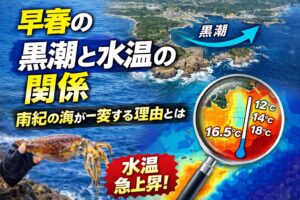 黒潮接岸で水温急上昇 ・1℃で魚の活性が変わる・早春は境界線の季節 ・気温より水温・黒潮の位置を確認必要。釣太郎