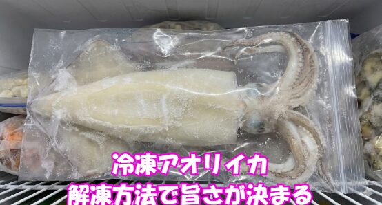 冷凍アオリイカを美味しく食べるコツは9割「解凍方法」。冷蔵庫でゆっくり解凍（最強）氷水解凍（急ぎの時の最適解） 常温・流水解凍は絶対NG。釣太郎