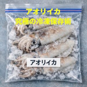 アオリイカ冷凍、現場での「締め」と「保冷」、これが命です。釣太郎