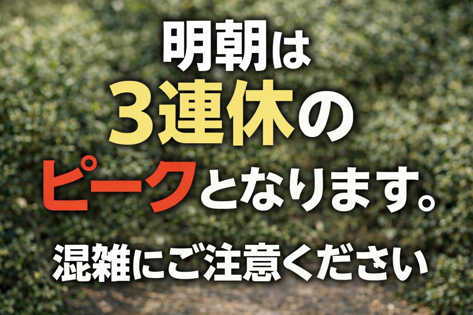 明朝は3連休のピークで明け方のみ混雑予想！釣太郎