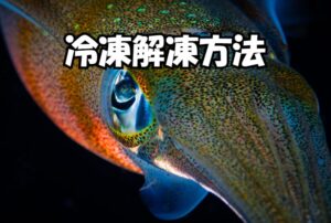 アオリイカ冷凍解凍方法、多い失敗。① 拭き不足② 空気入りすぎ③ 流水解凍④ 再冷凍。この4つで9割失敗します。釣太郎