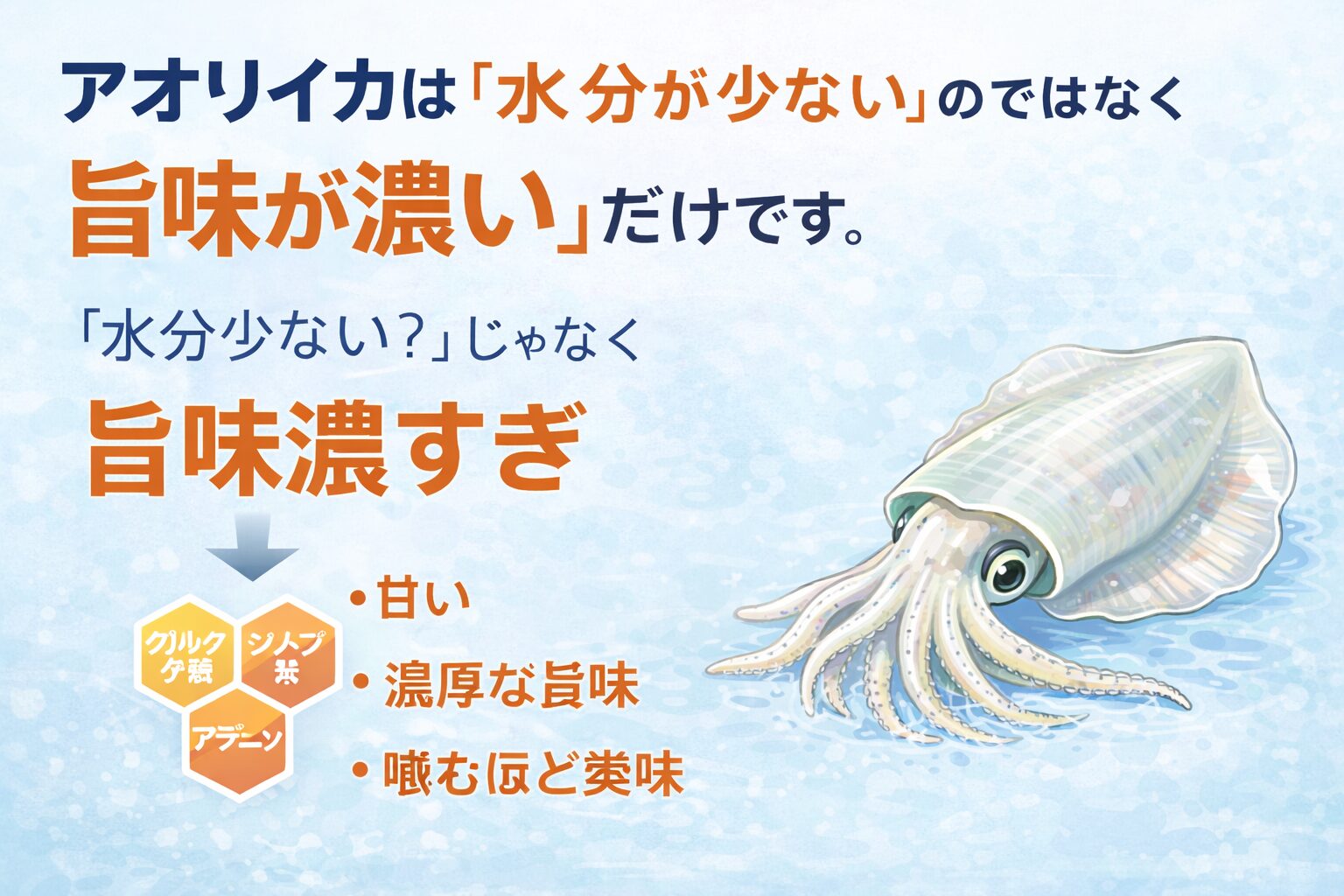 アオリイカは水分不足ではない・筋肉密度が高いだけ・旨味成分が多い ・水に当てると不味くなる。釣太郎