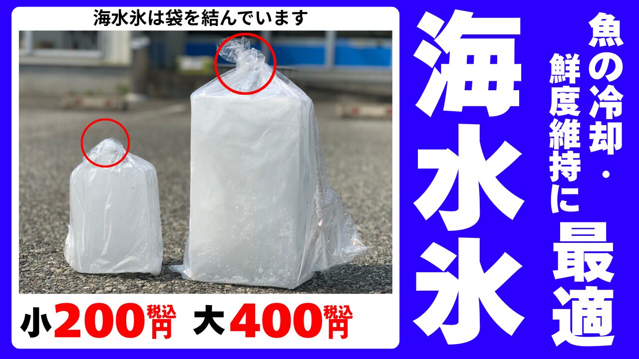 海水氷で臭いが減る理由。低温によるTMA生成抑制。浸透圧によるドリップ抑制。酸化抑制。臭いを消しているのではなく臭いを出させない仕組み。釣太郎