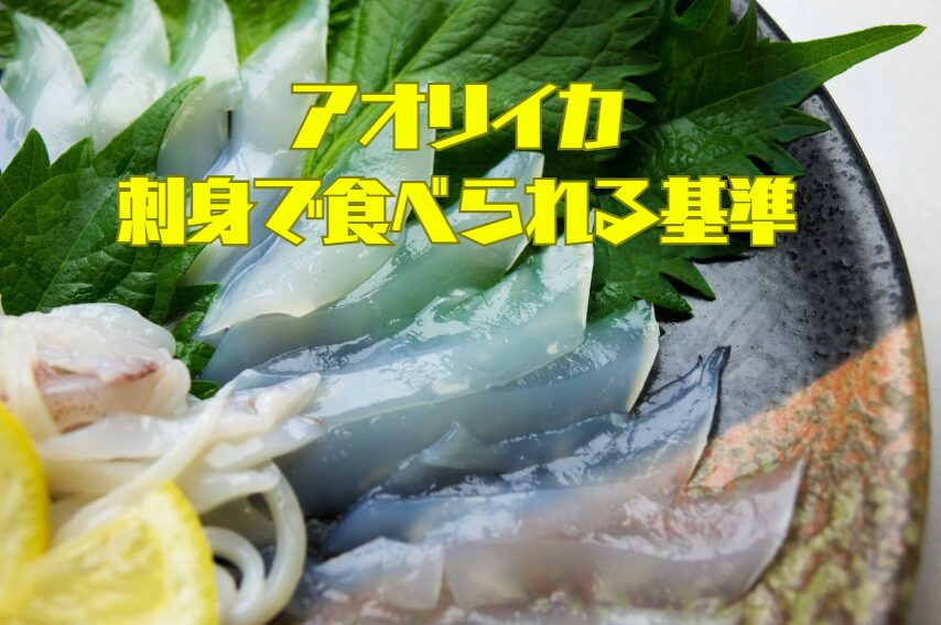 アオリイカ刺身で食べられるかの判断基準：3つのチェックポイント。釣太郎