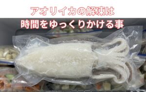 釣ったアオリイカ、その解凍方法で台無しにしてない？釣り人が陥る「マズくなる」罠と、プロ級の解凍術。釣太郎