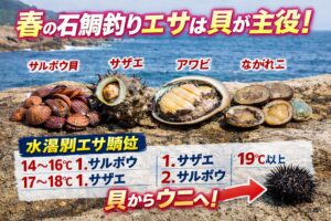 春の石鯛釣りは貝が軸。 低水温ならサルボウ中心 ・水温上昇でサザエが浮上・18℃超えでアワビも本領発揮・ながれこは安定型。そして最終的にウニへ移行する。釣太郎