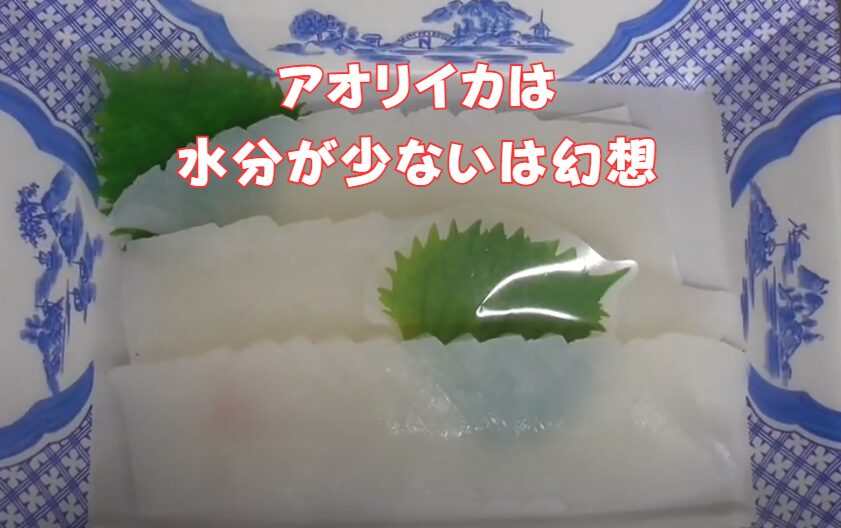 アオリイカは身が固いので水分が少ないと思っている人は多いが、実は魚と同じ。釣太郎