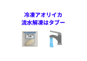 多くの釣り人がやっている「冷凍アオリイカを流水で解凍」は、実はNGです！釣太郎