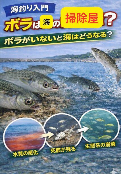 ボラは・海底を掃除する魚・栄養循環の中心・食物連鎖を支える存在・大型魚のエサ・海の健康状態の指標。つまり 海にとっては非常に重要な魚。釣太郎