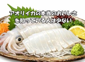 アオリイカ取扱い、現場では真水に当てない（海水氷を活用！）冷凍は空気を抜いて密閉。解凍は冷蔵庫でゆっくりと。釣太郎