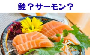 【鮭とサーモンの違い】同じ魚？生食できるかの決定的な理由を徹底解説。釣太郎