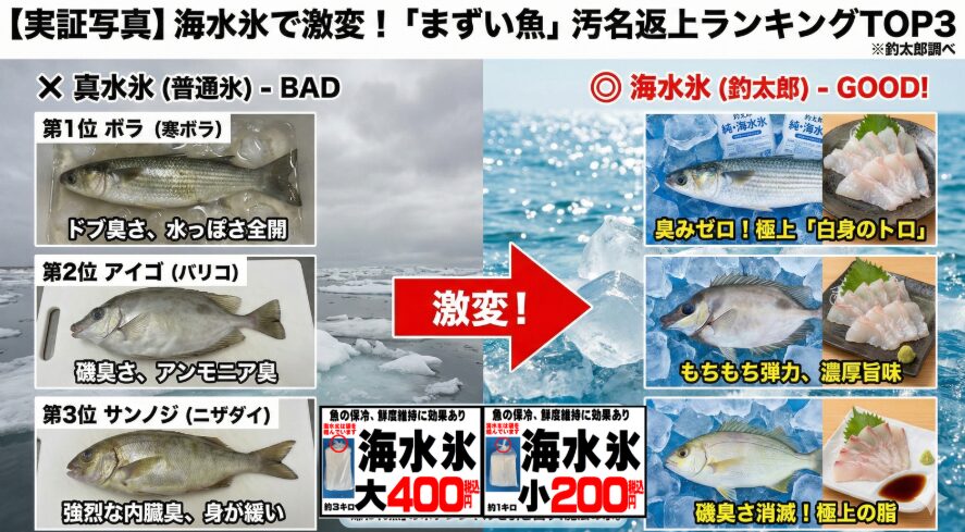 「まずい魚」の多くは、「水分が多い」「酵素活性が強い（腐りやすい）」「内臓の臭いが強い」という特徴があります。海水氷で解消しましょう。釣太郎