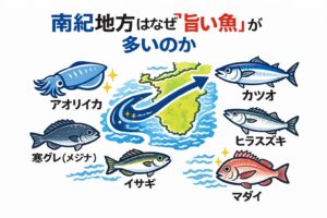 南紀の魚が旨い理由は ・黒潮・地形・潮流・荒れ・成長スピード。すべてが味に直結する方向で噛み合っている。釣太郎