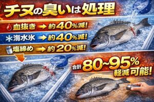 チヌの臭い対策。血抜き → 約40％減。海水氷 → 約40％減。塩締め → 約20％減。 合計80〜95％軽減可能。釣太郎