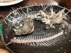 イサキ（イサギ）の骨はのどに刺さると危険なのでご注意ください。釣太郎