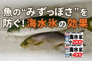 和歌山の釣具店「釣太郎」では、高品質な海水氷を1kg 200円、3kg 400円で販売中。