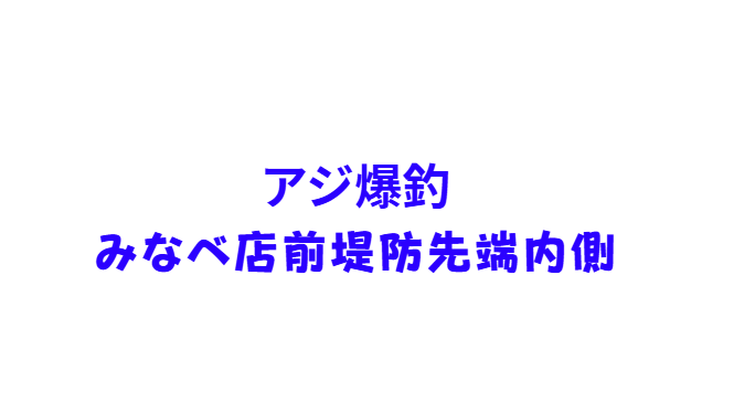みなべ店前大堤防でカマスとアジの群れ。本日朝8時の様子。2月24日火曜日。釣太郎