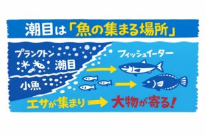 ルアーフィッシング入門。潮目とは・水の境界線・エサの集積地・魚の待合所。だから 見つけたら最優先で狙う。釣太郎