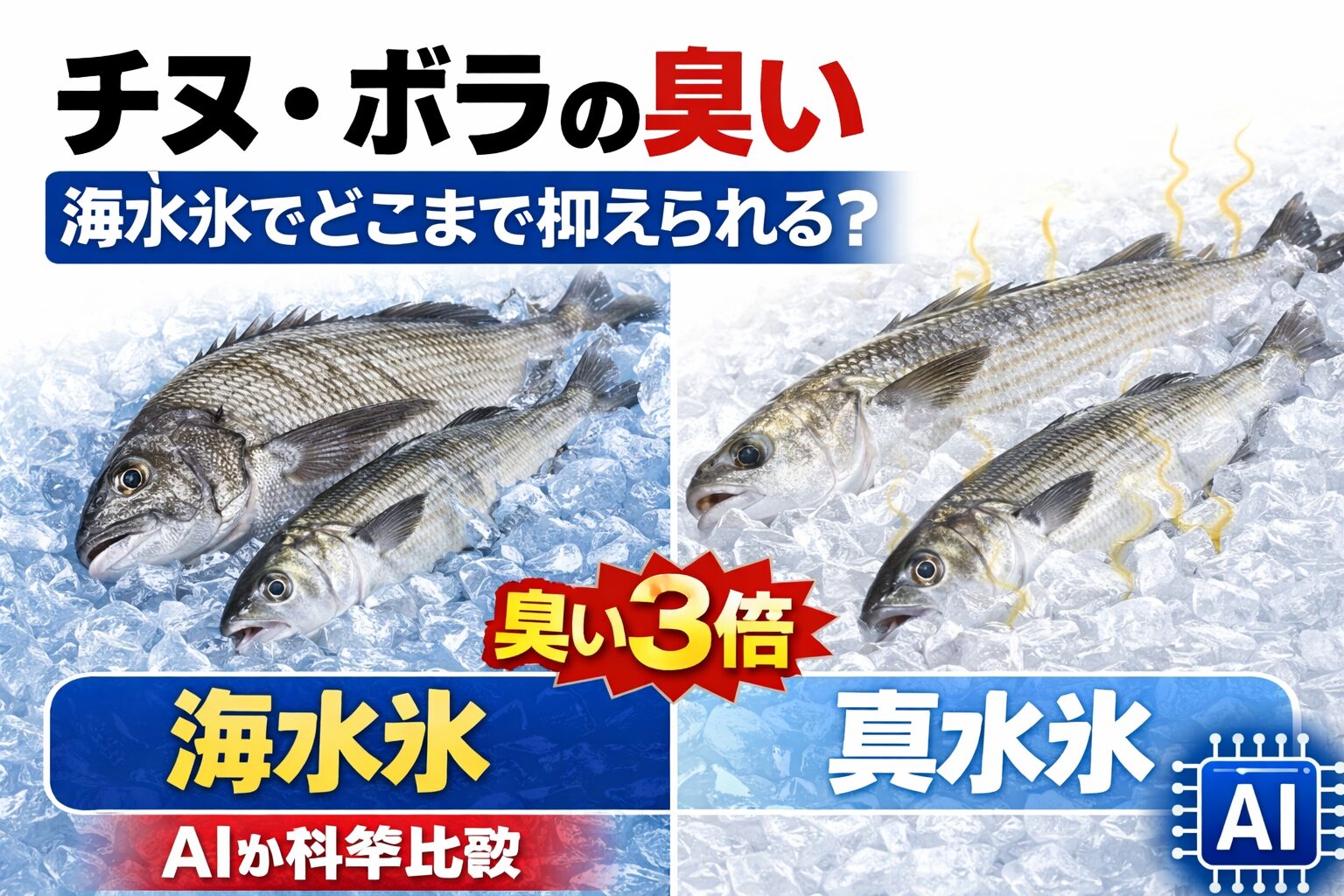 チヌ・ボラの臭いは冷却で決まります。海水氷は ・細胞破壊を防ぐ・ドリップを抑える・臭い発生50〜70％減・食味向上。釣太郎