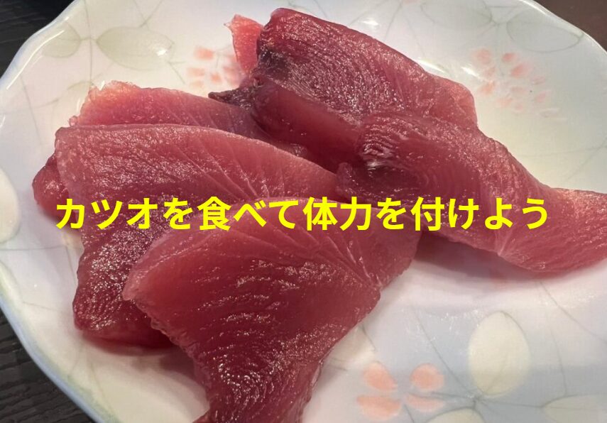 カツオは高タンパク質、ビタミンB群、吸収率の高い鉄分、そして疲労回復特化成分（タウリン・アンセリン）。これだけ栄養価が高い魚は他にはない。釣太郎