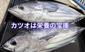 カツオは旨いだけじゃない。圧倒的に“体にいい”理由｜栄養価が抜群の食べるサプリメント魚。釣太郎