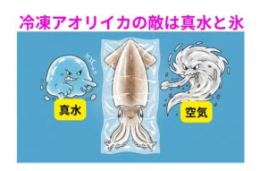 冷凍アオリイカ、 真水に触れさせない「空気に触れさせない」 この2点を守るだけで、冷凍でも驚くほど美味しく仕上がります。釣太郎
