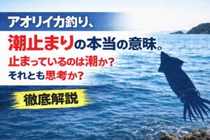 アオリイカ釣り、潮止まりは釣れない時間ではない。攻め方を変える時間。上げ止まりはシャロー。下げ止まりはボトム。月と潮とレンジ。釣太郎
