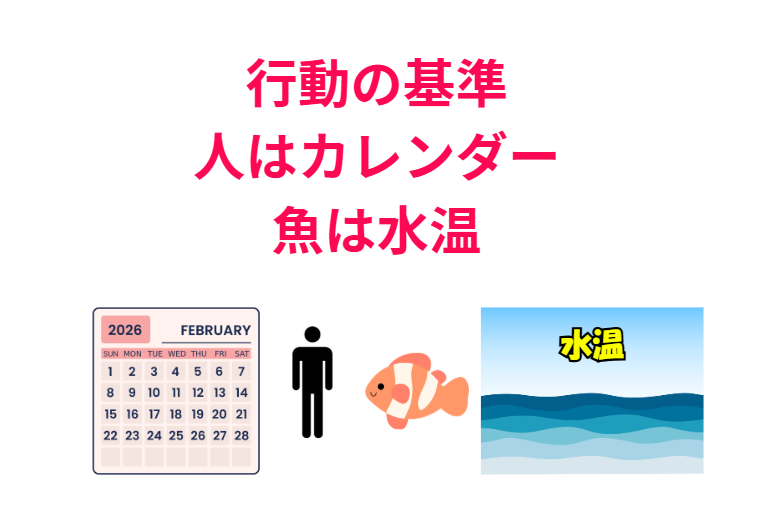 釣り人はカレンダーをもとに、海の魚は水温を基準に行動する。釣太郎