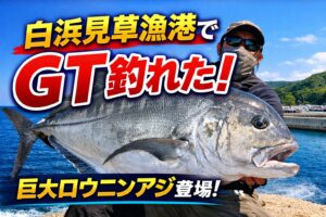 白浜見草（みぐさ）漁港でGTが釣れたとのうわさ！釣太郎