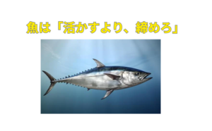 魚は「活かすより、締めろ」美味しく持ち帰りたいなら…❌ 活かすな ⭕ 締めろ⭕ 血抜け⭕ 冷やせ。釣太郎