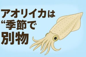 アオリイカは“季節で別物”。月別指数で味のピークを知る。一年中楽しめるが、味のピークは冬（1〜2月）。釣太郎