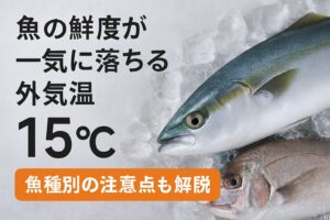 魚の鮮度は、外気温15℃を超えると急激に落ち始めます。魚種によって劣化のスピードや原因は異なるため、それぞれに合った保存対策が必要.釣太郎