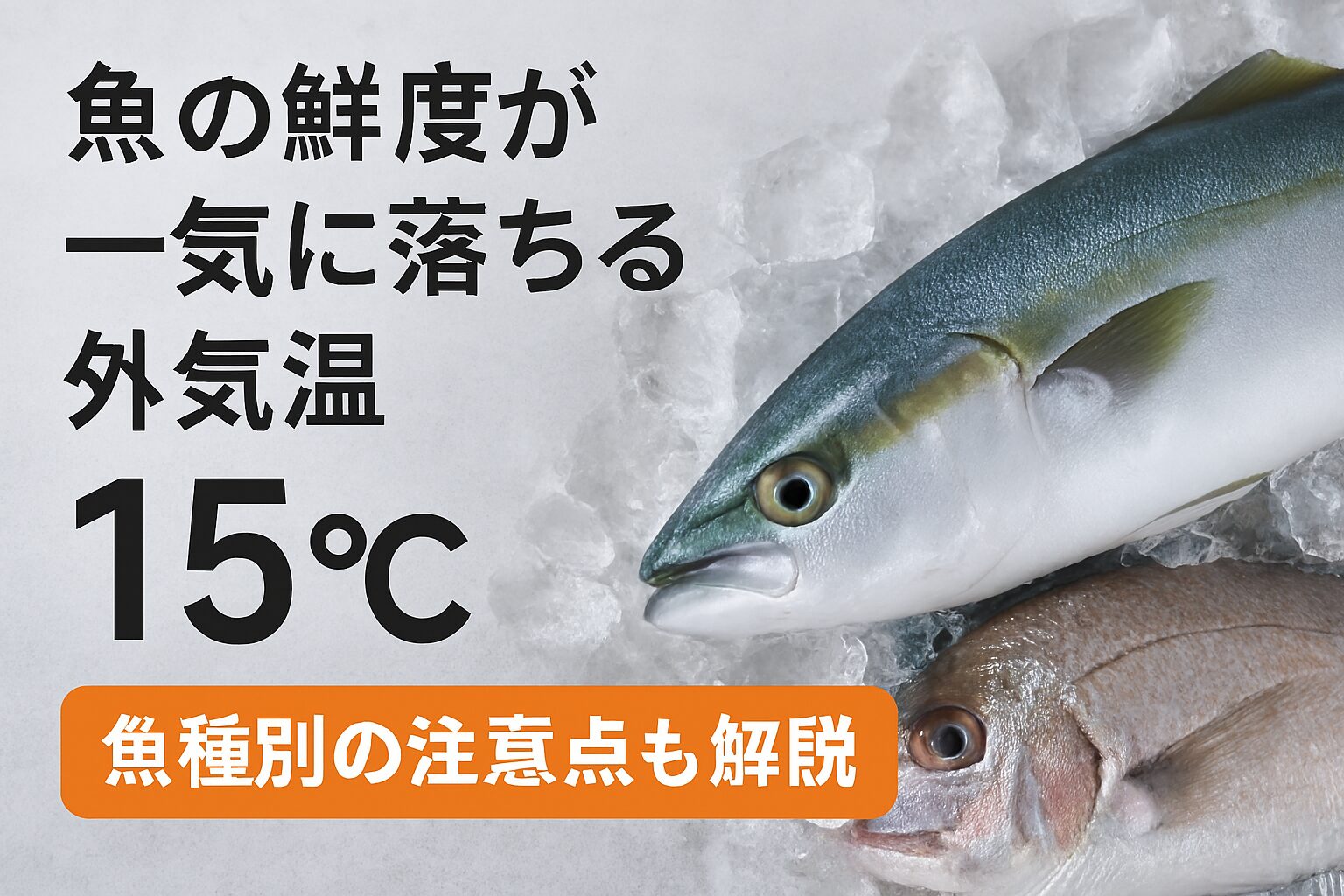 魚の鮮度は、外気温15℃を超えると急激に落ち始めます。魚種によって劣化のスピードや原因は異なるため、それぞれに合った保存対策が必要.釣太郎