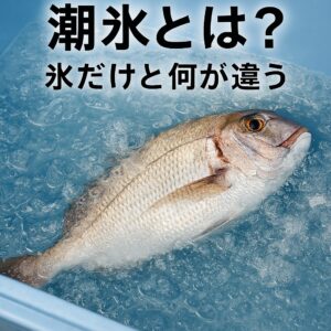 潮氷は、 “魚を最も良い状態で持ち帰るためのプロの技” と言える方法です。釣太郎