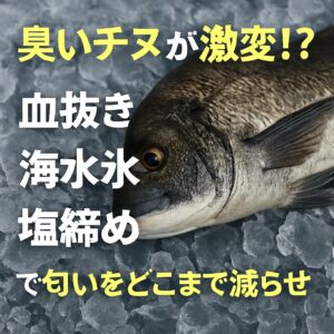 臭いチヌの臭い改善。血抜き → 約40％減。海水氷 → 約40％減。塩締め → 約20％減。 合計80〜95％軽減可能。釣太郎