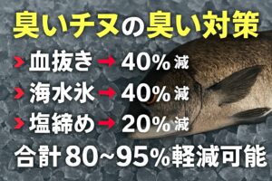 チヌは「処理」で化ける！美味しく食べるための3ステップ。釣ったら即血抜き！海水氷で冷却＆鮮度キープ！塩締めで仕上げの臭み取り！釣太郎