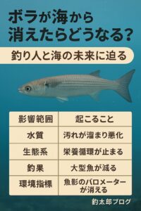 ボラがいなくなると、海底に汚れが溜まり、富栄養化が進みます。釣太郎