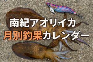 南紀アオリイカ釣果カレンダー｜月別の釣れる時期と攻略法。釣太郎