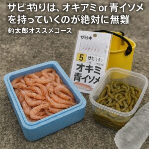 サビキ釣りは“保険エサ”が必須！活性が低い日はオキアミ or 青イソメが最強【釣太郎おすすめコース】