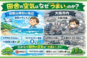 田舎の空気が美味しい理由は・微粒子が少ない ・排ガス成分が少ない ・植物由来成分が多い ・空気が循環している 。気分ではなく化学。釣太郎
