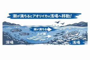 アオリイカ釣りで安定した釣果を出すには、潮の動きとベイトの動向を読む力が不可欠。釣太郎