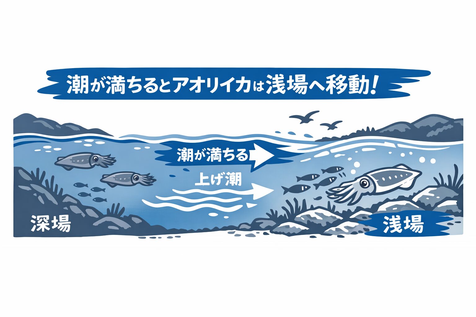 アオリイカ釣りで安定した釣果を出すには、潮の動きとベイトの動向を読む力が不可欠。釣太郎